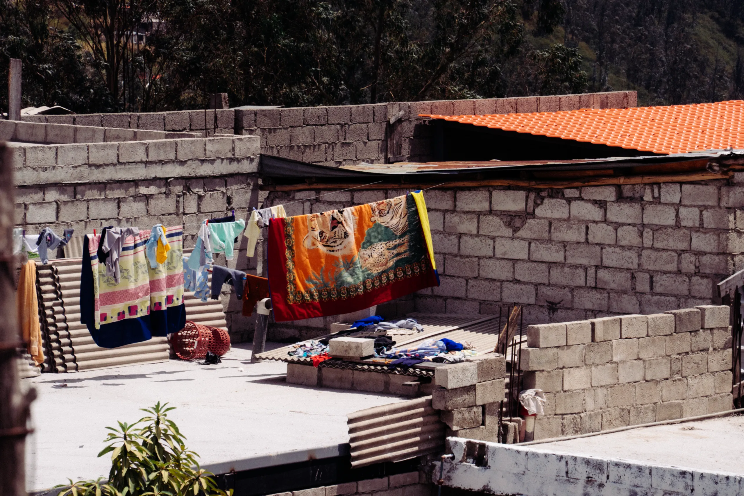 sábana de tigre
