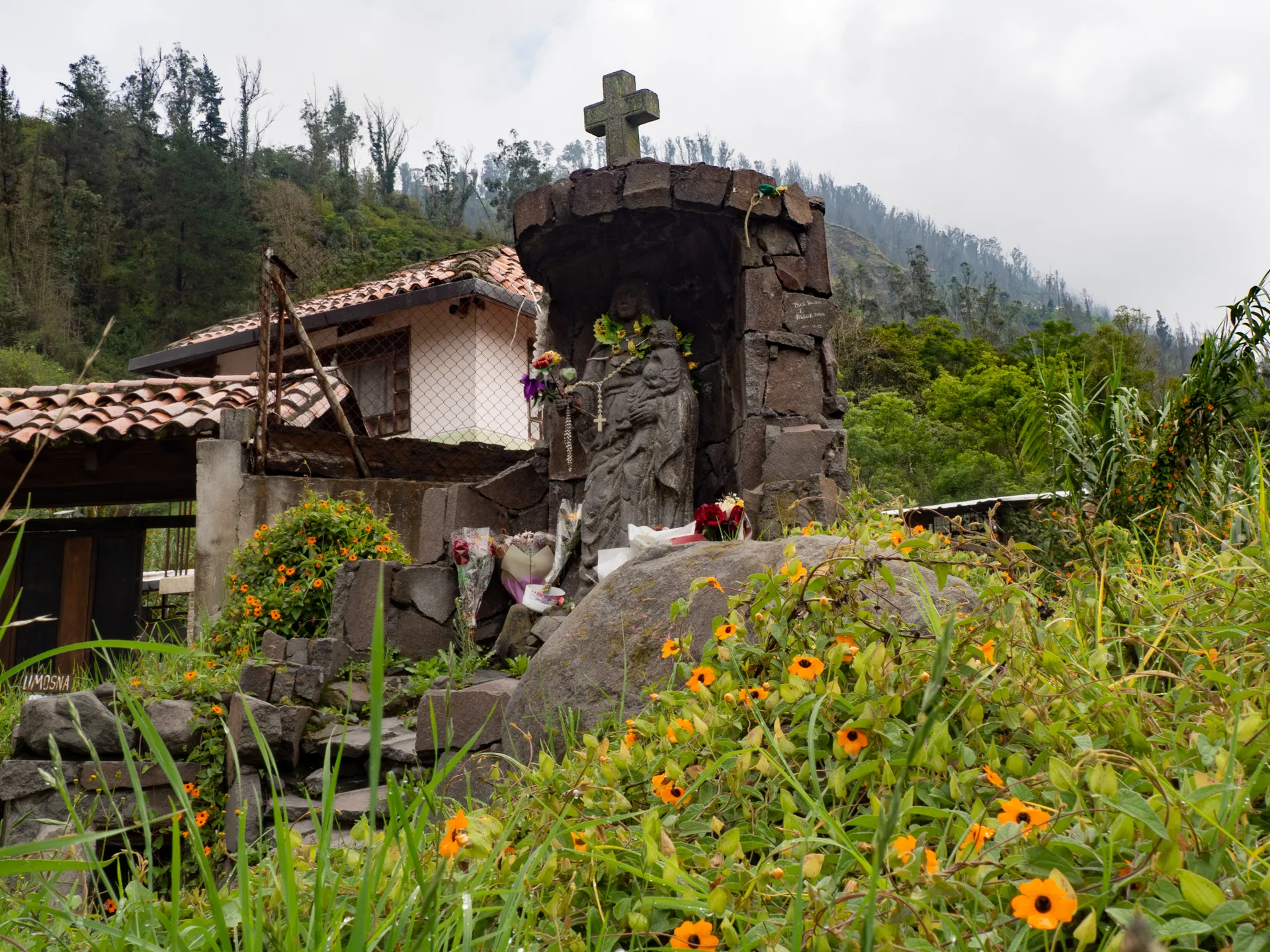 La peligrosa susana de ojos negros
