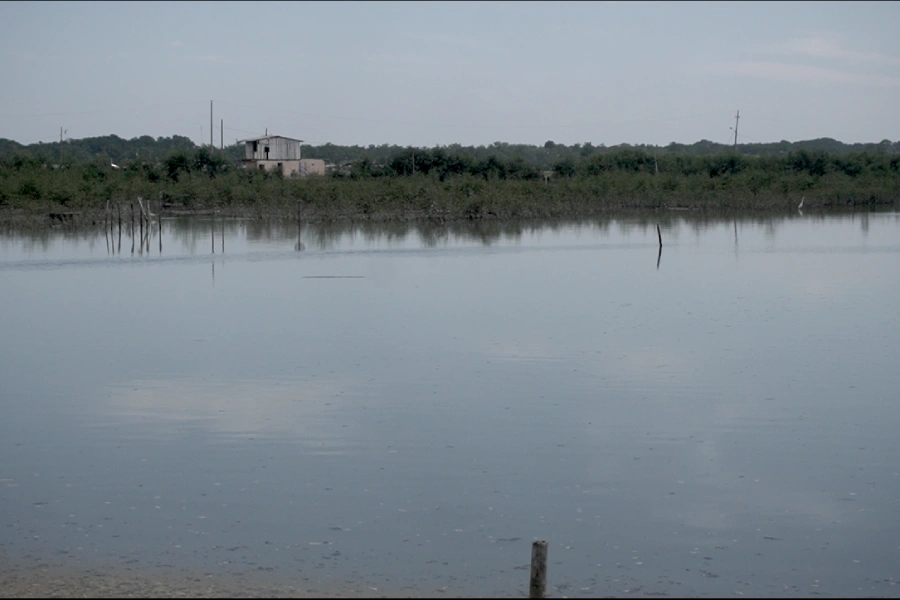 La explotación de los recursos marinos en Ecuador es un problema que se puede percibir sobre todo en la escasez de especies clave. Foto: Mongabay Latam