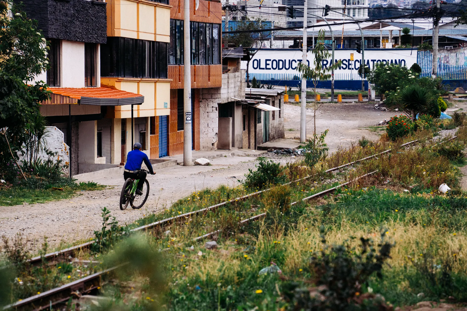 En Turubamba, las rieles del tren han sido tomadas por la maleza. pero la vida sigue