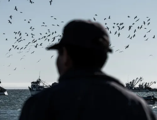 Piratas de Ecuador y Perú: el brazo logístico del narcotráfico detrás de las extorsiones a pescadores artesanales