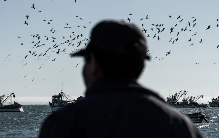 Piratas en Ecuador y Perú: el brazo logístico del narcotráfico