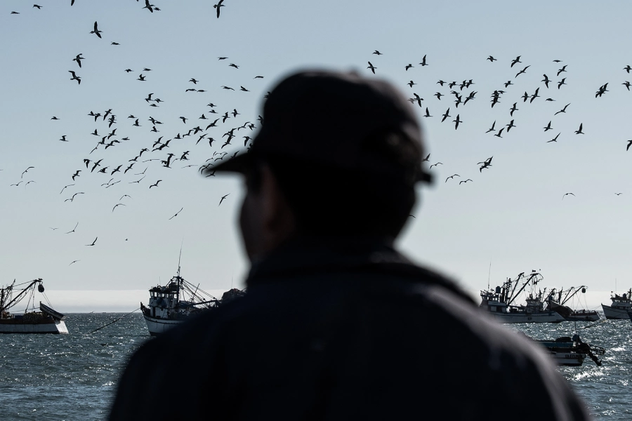 Piratas en Ecuador y Perú: el brazo logístico del narcotráfico