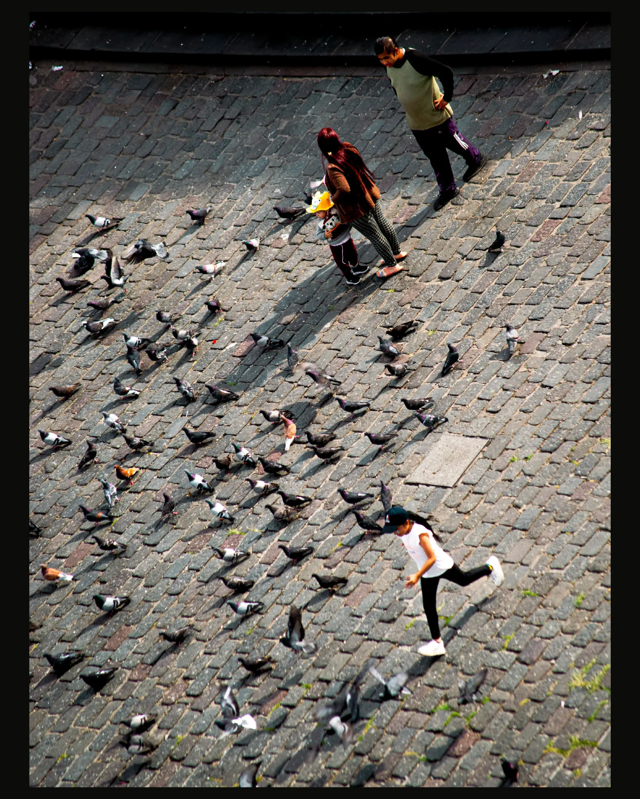 Las palomas en la Plaza de San Francisco