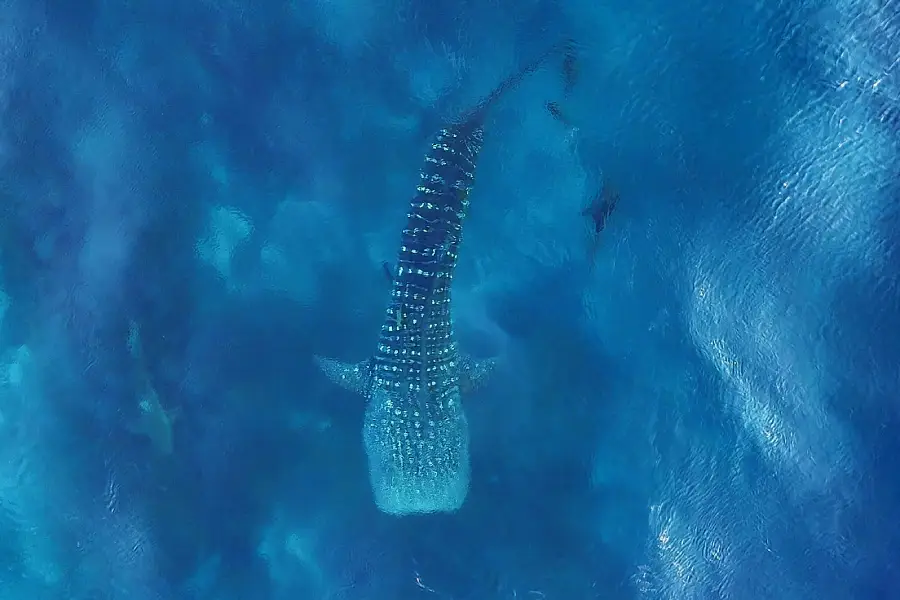 Fotografía de Martin Narvaez