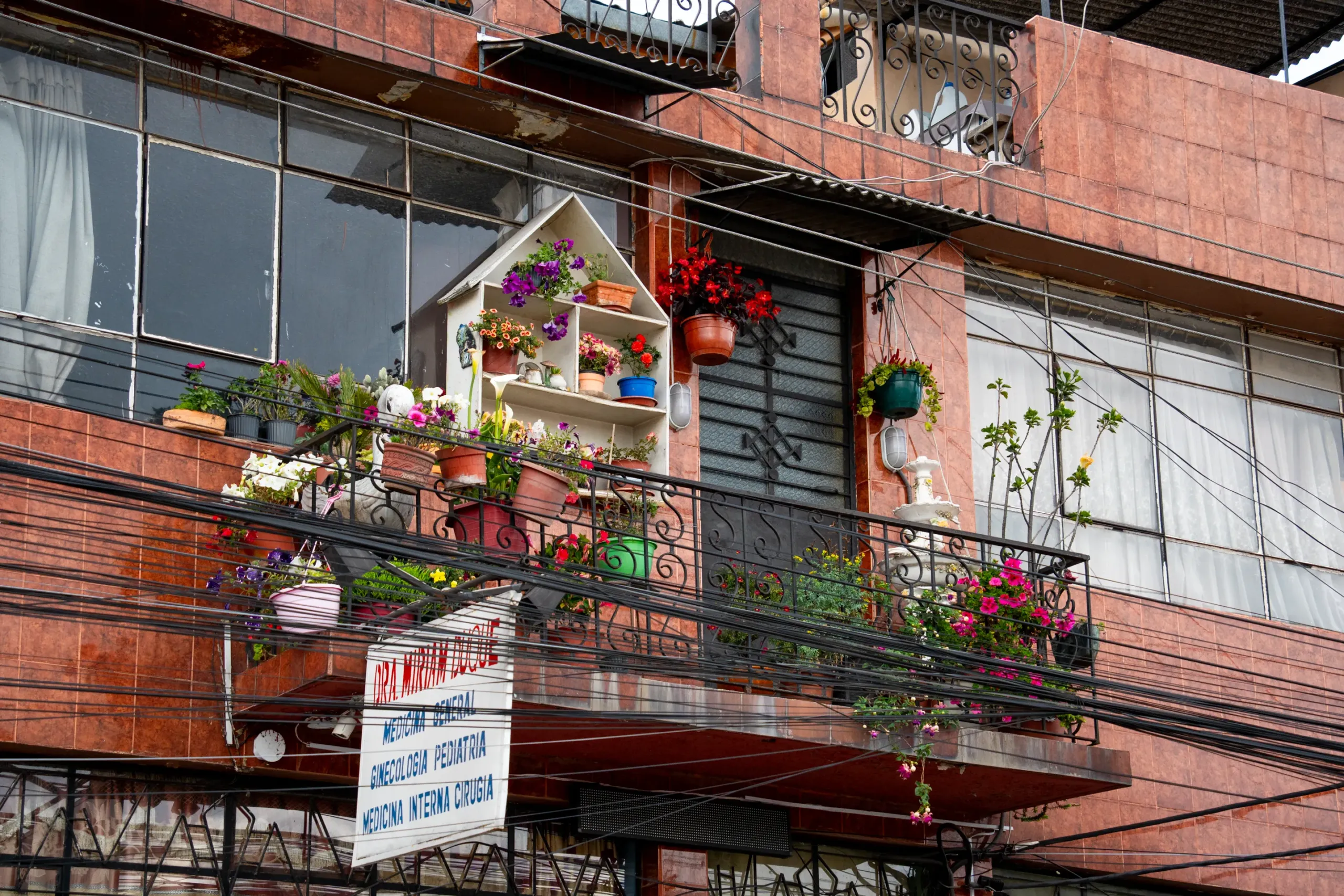 Un balcón convertido en jardín Un balcón convertido en jardín
