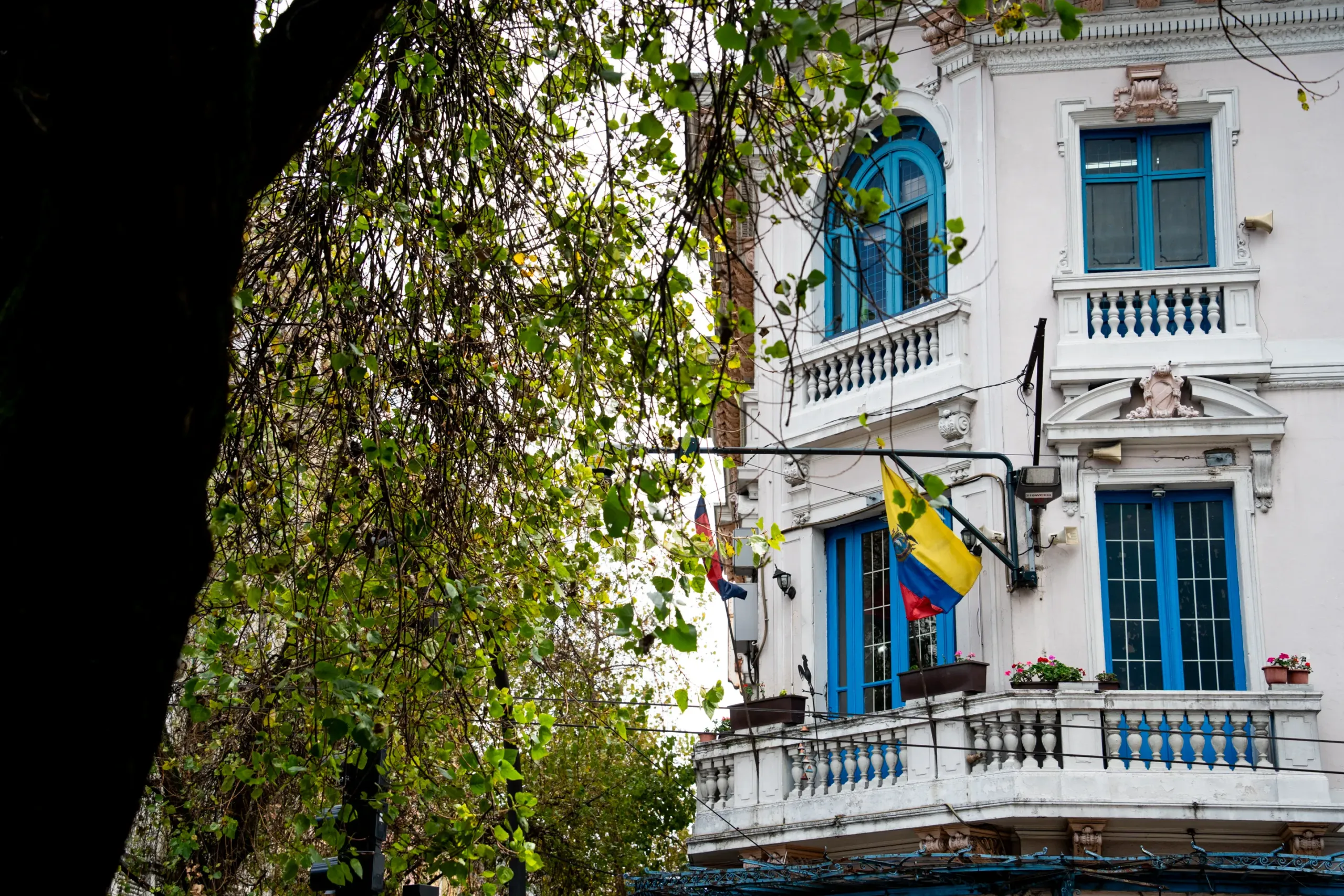 Asomarse en la ciudad es un privlegio Asomarse en la ciudad es un privlegio