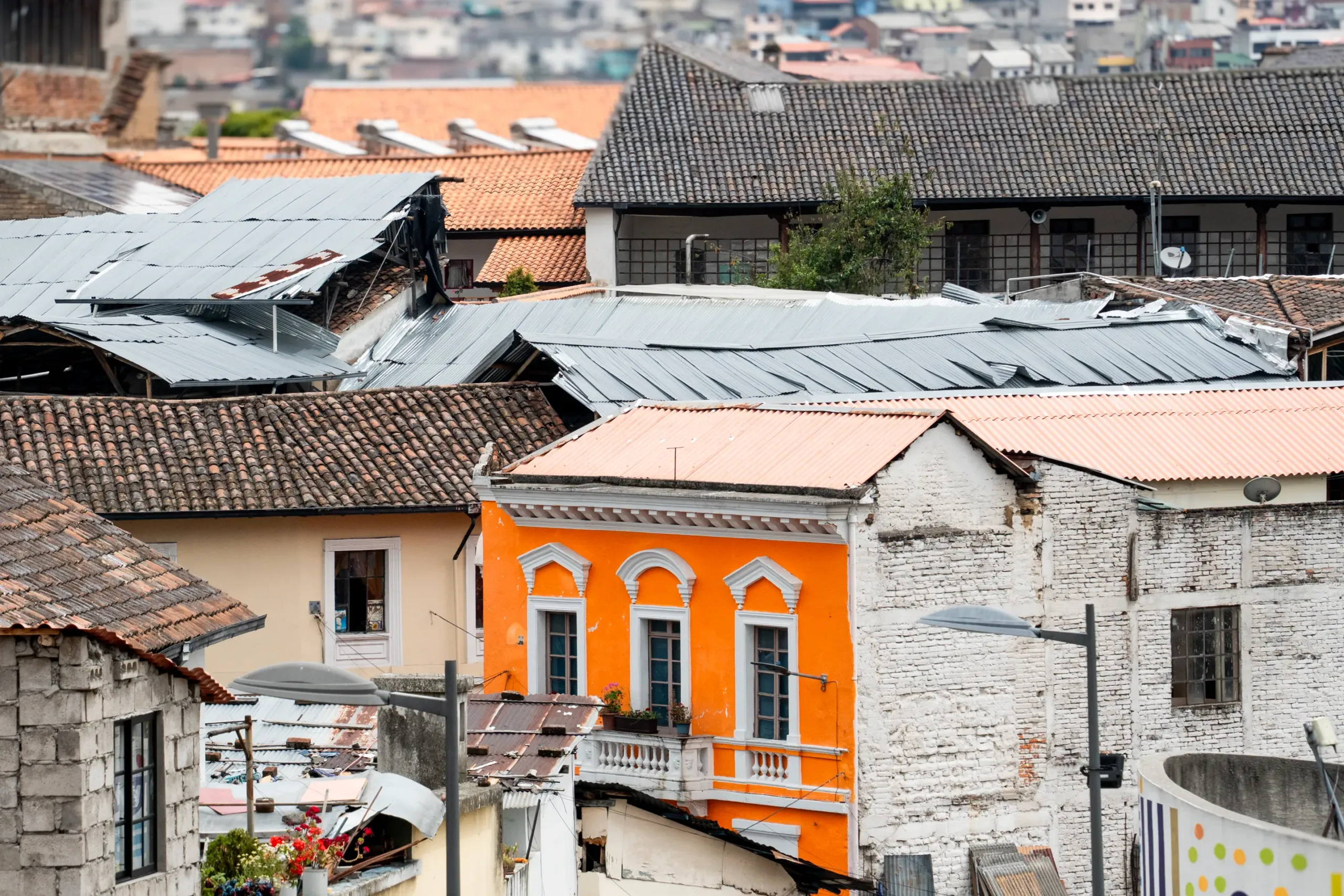 Abajo de la 24 de Mayo, aparece el color Abajo de la 24 de Mayo, aparece el color