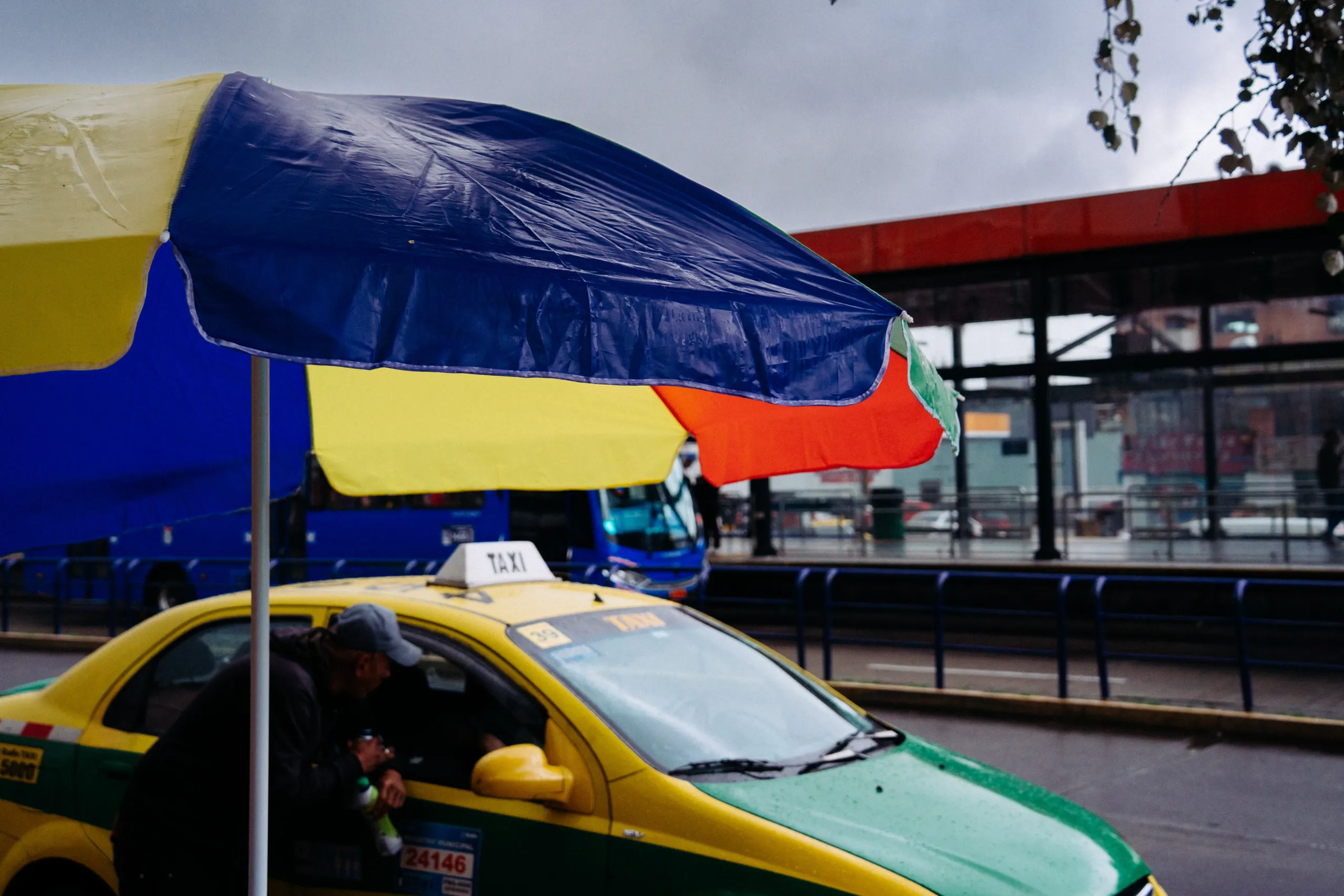 Est&aacute;n en todas partes