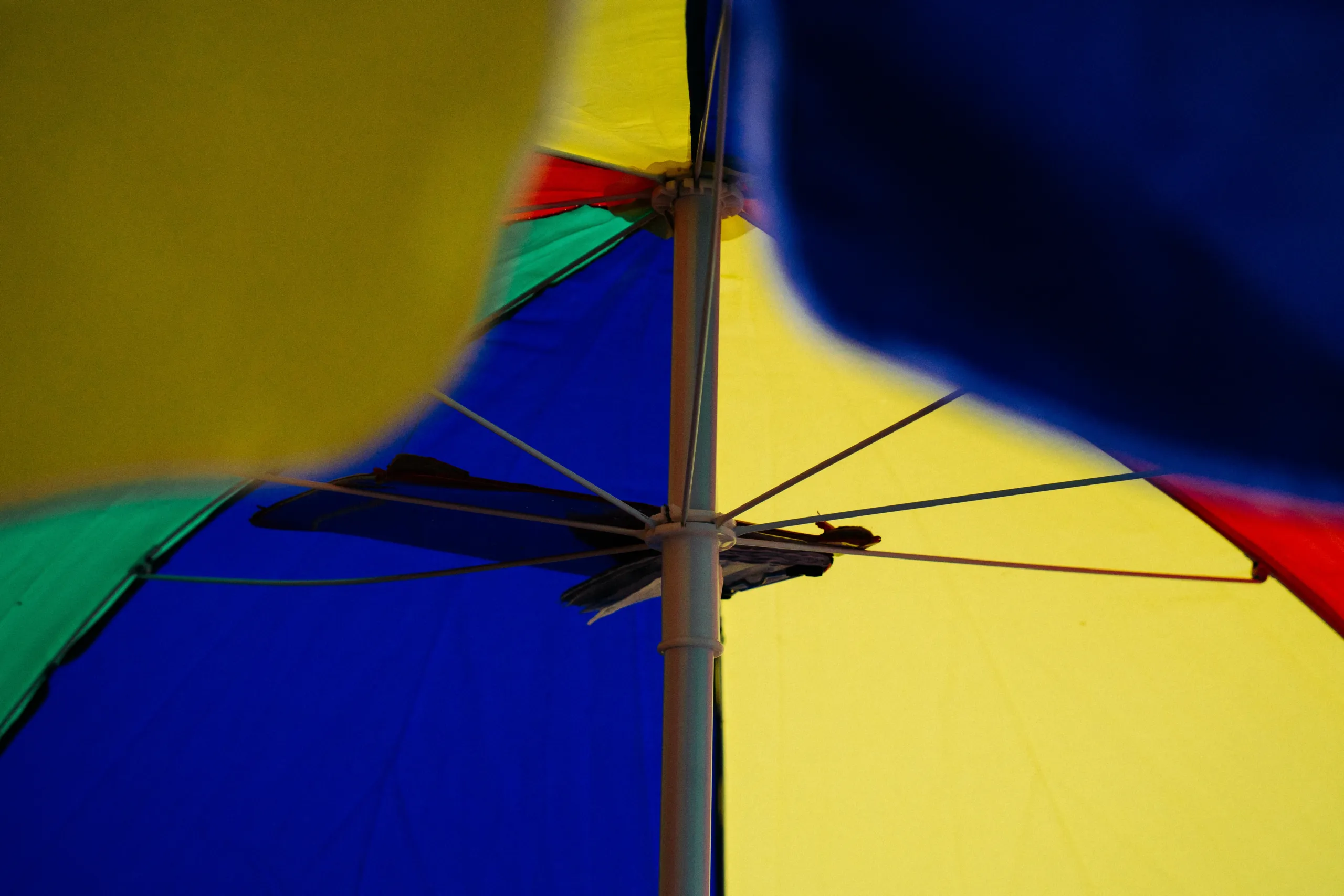 Los colores, desde adentro