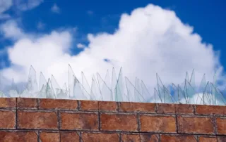 seguridad barrial: vidrios rotos