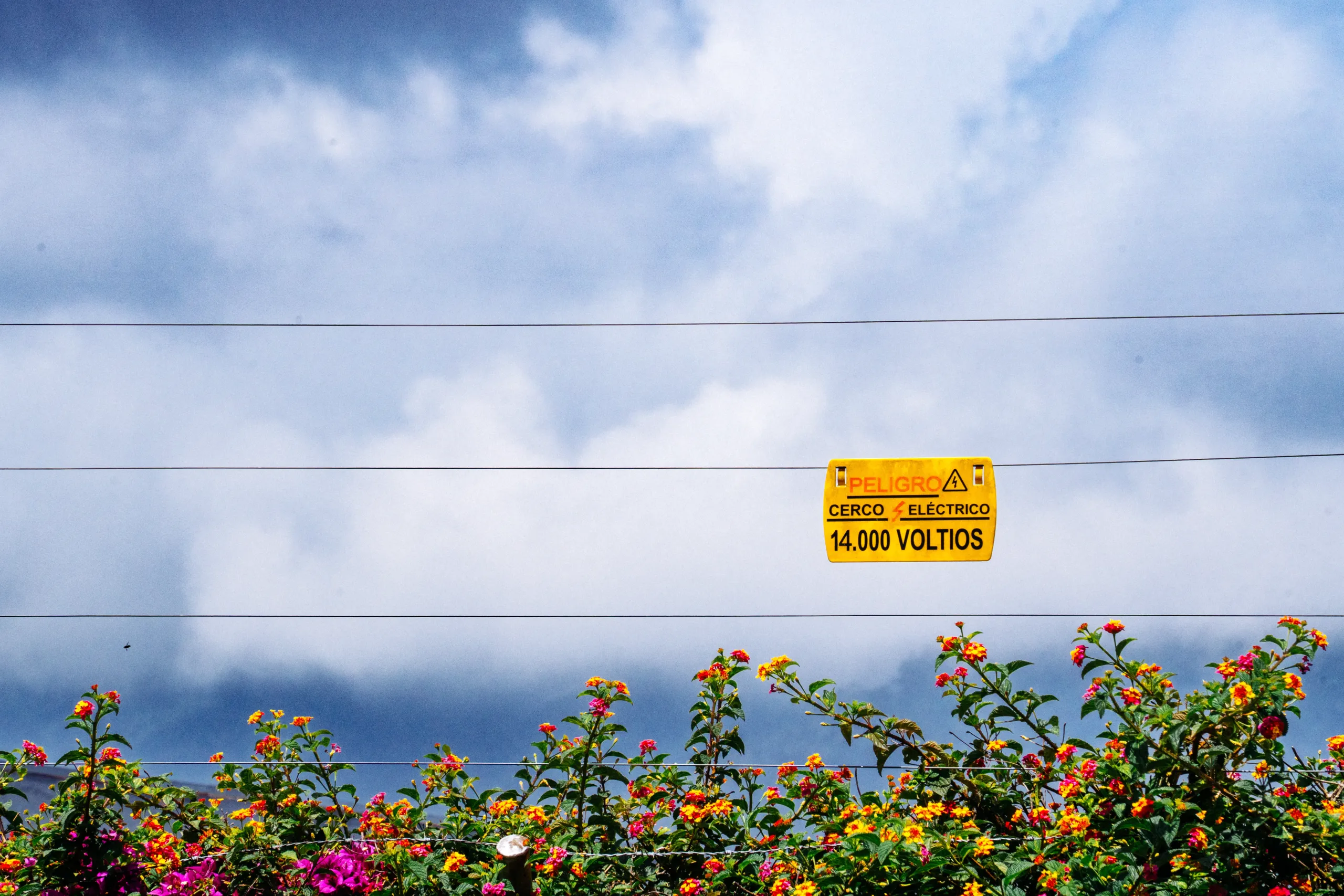 Cerco el&eacute;ctrico