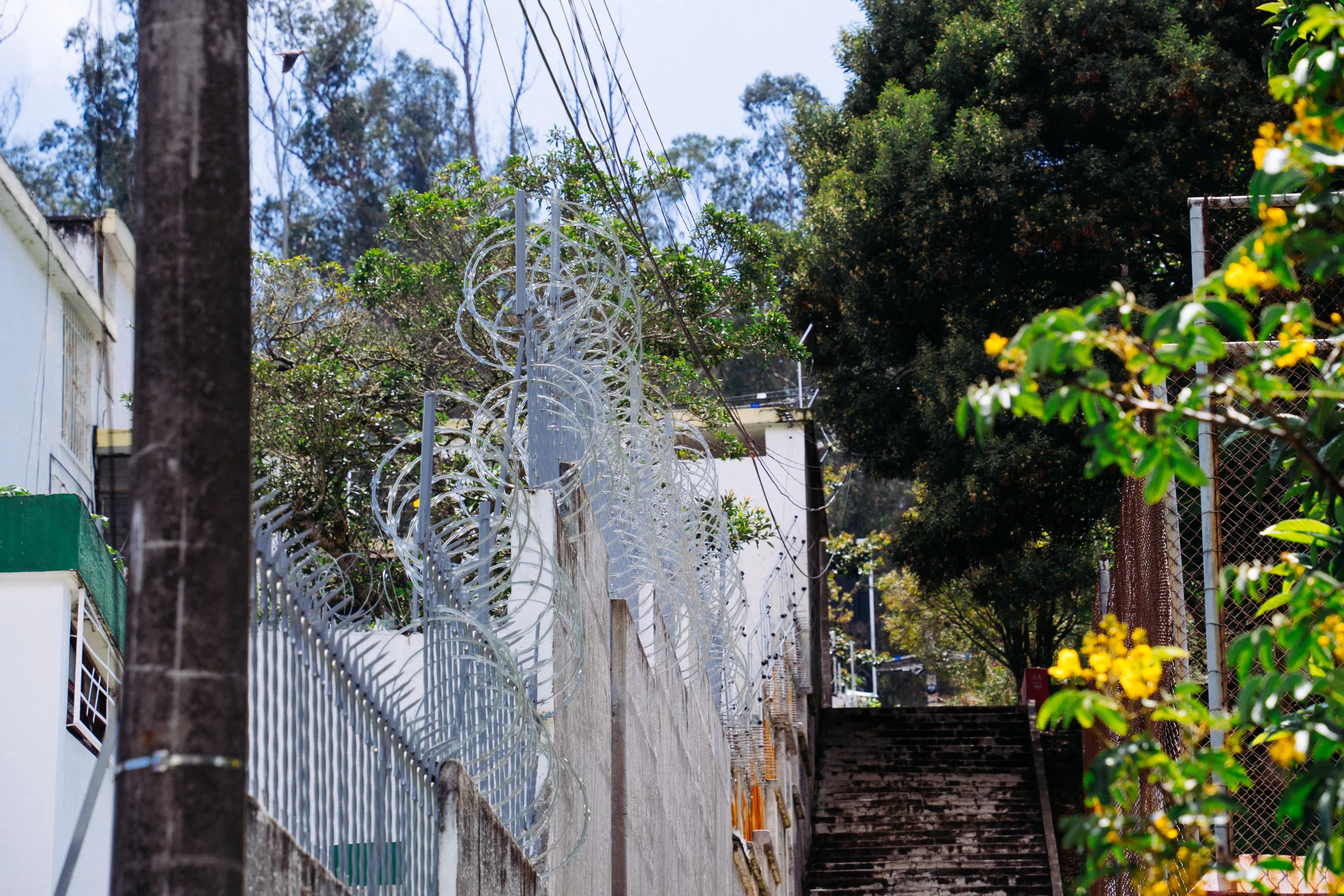 Alambres de p&uacute;as o escarlatinas