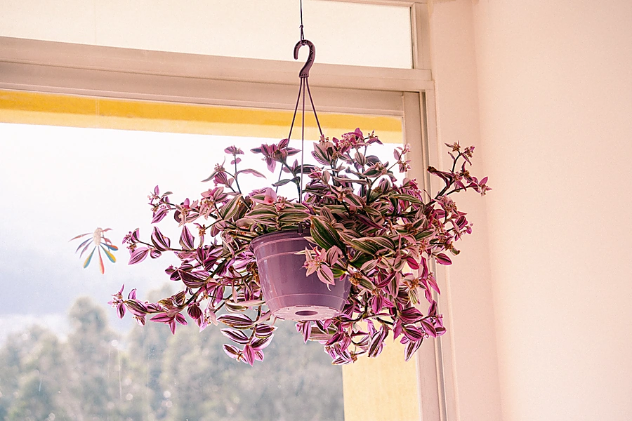 cineasta Ana Cristina Barrag&aacute;n