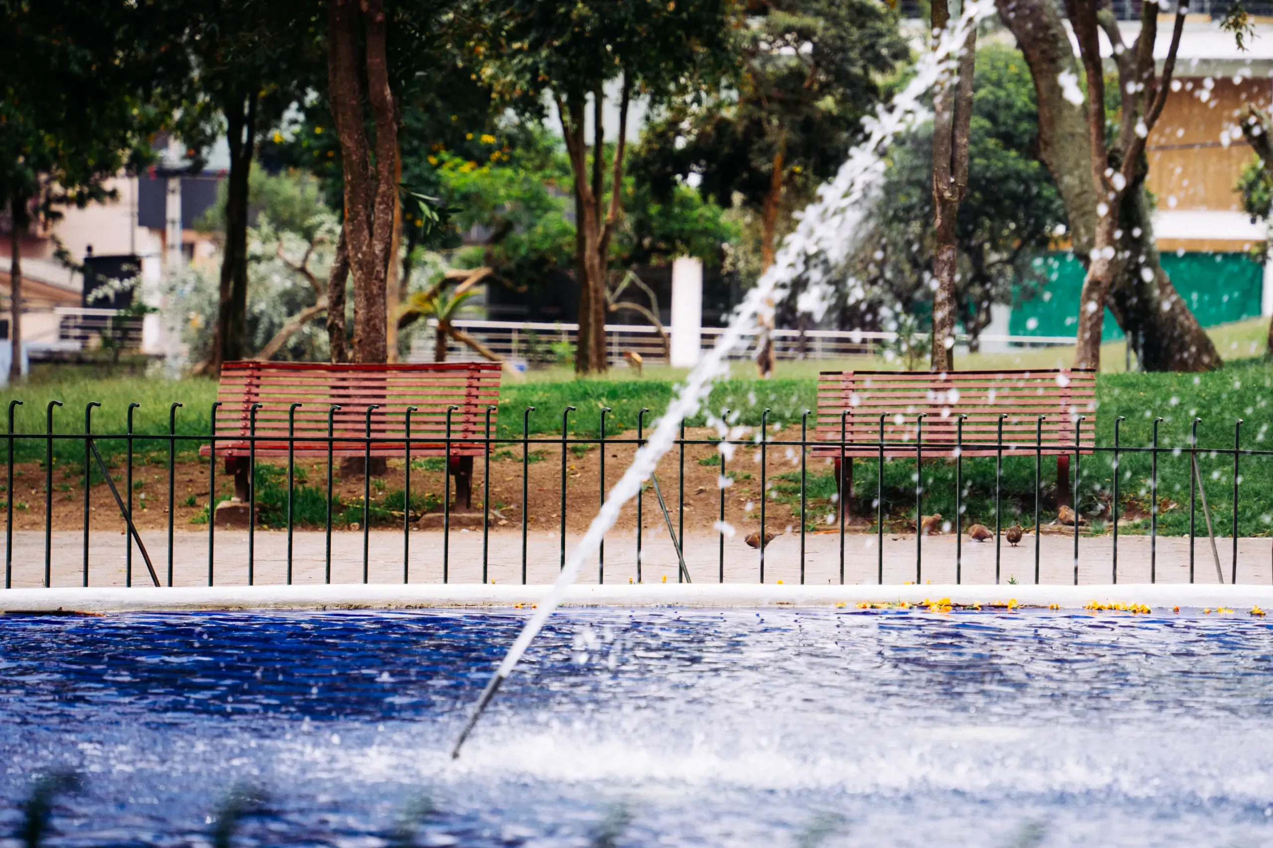 El parque Ingl&eacute;s