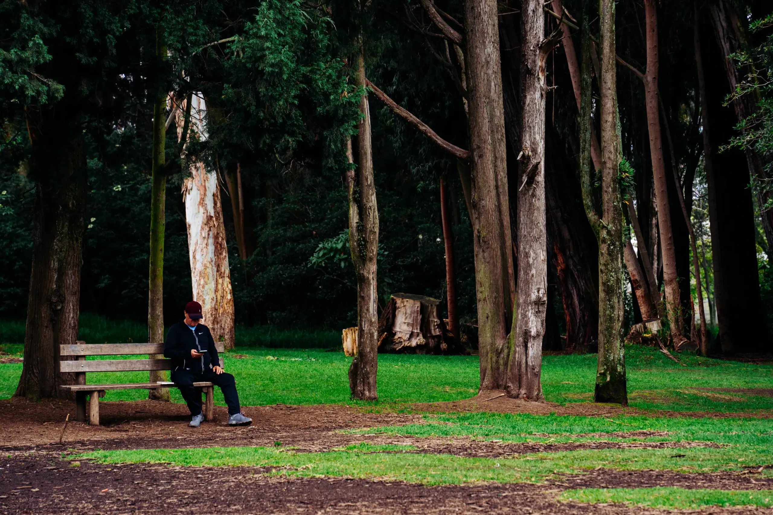 En el parque de las Cuadras