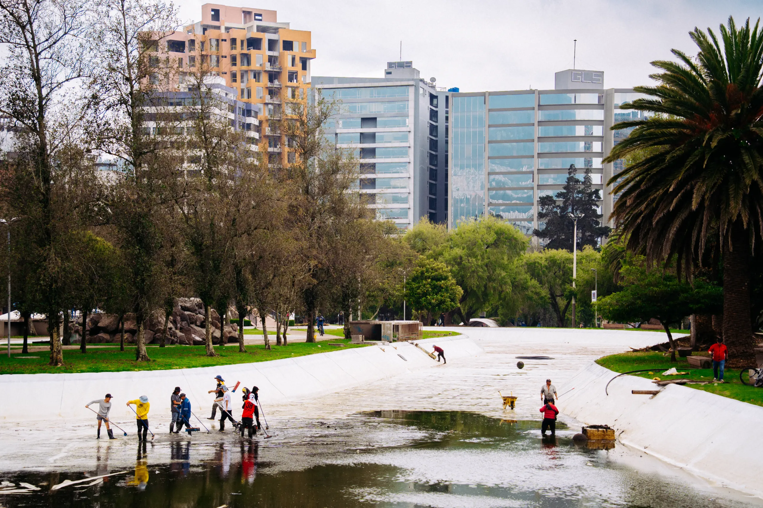 Limpieza de la laguna del parque La Carolina de Quito
