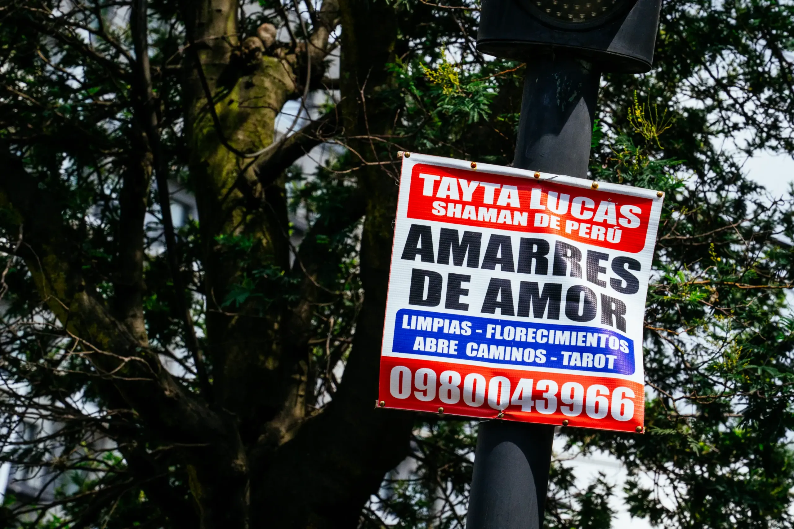 Los letreros ofrecen de todo: de amarres de amor a clases de nivelaci&oacute;n