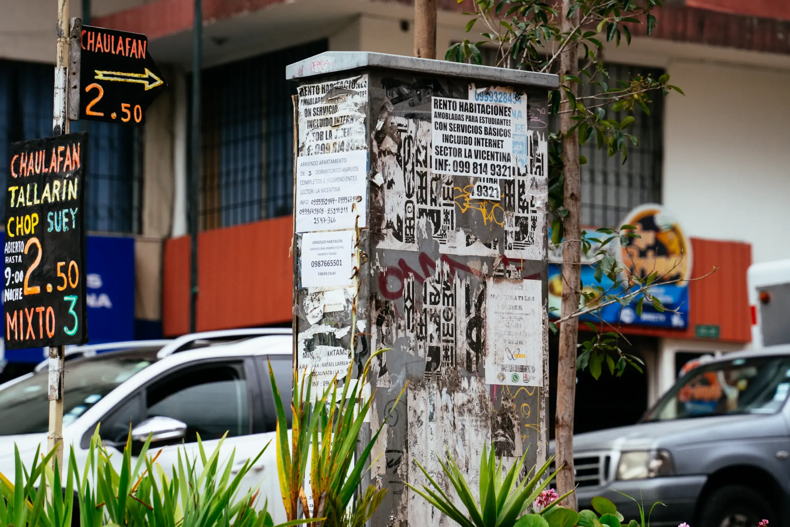 LETREROS EN CALLE 16 De 17 Scaled
