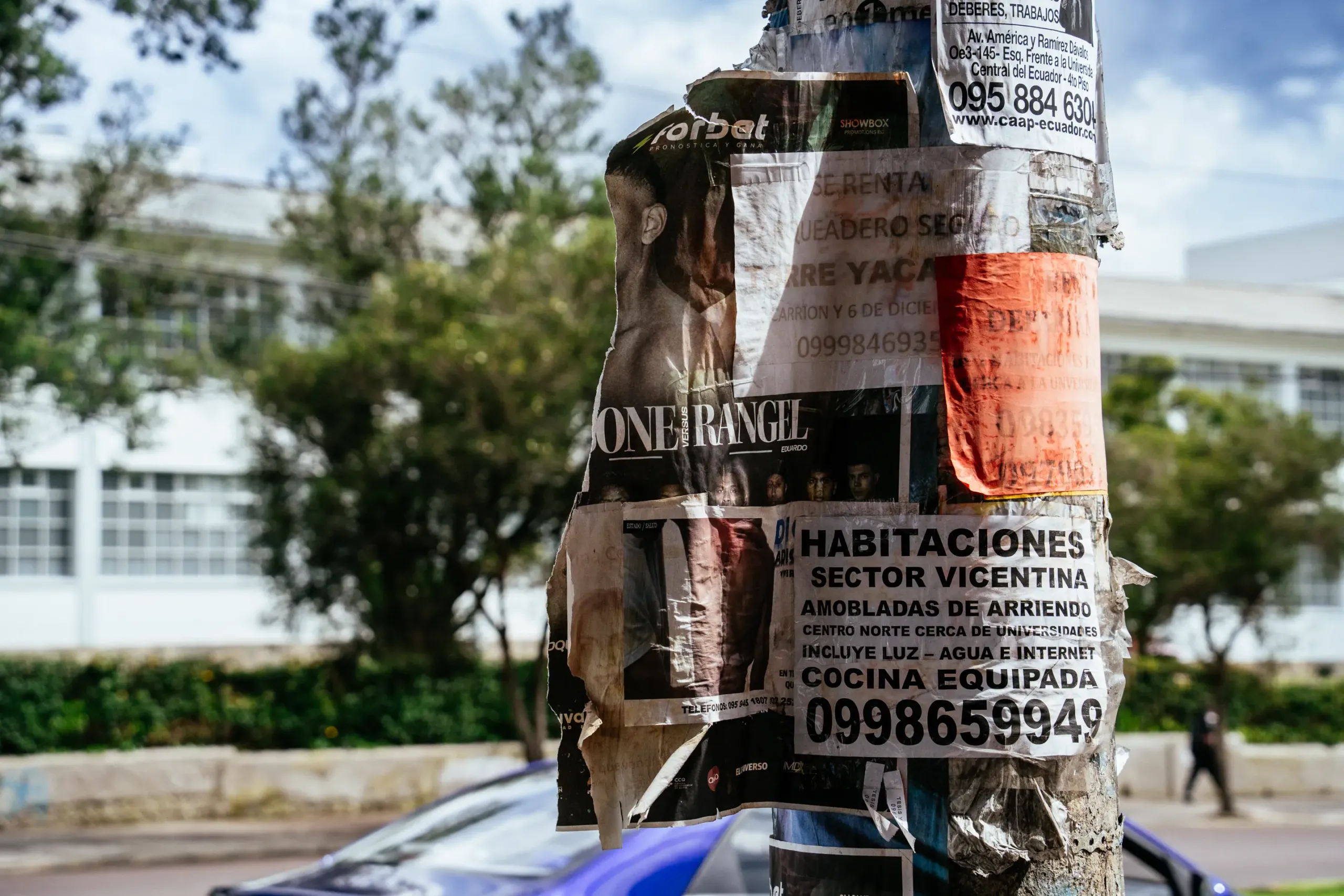 LETREROS EN CALLE 4 De 17 Scaled