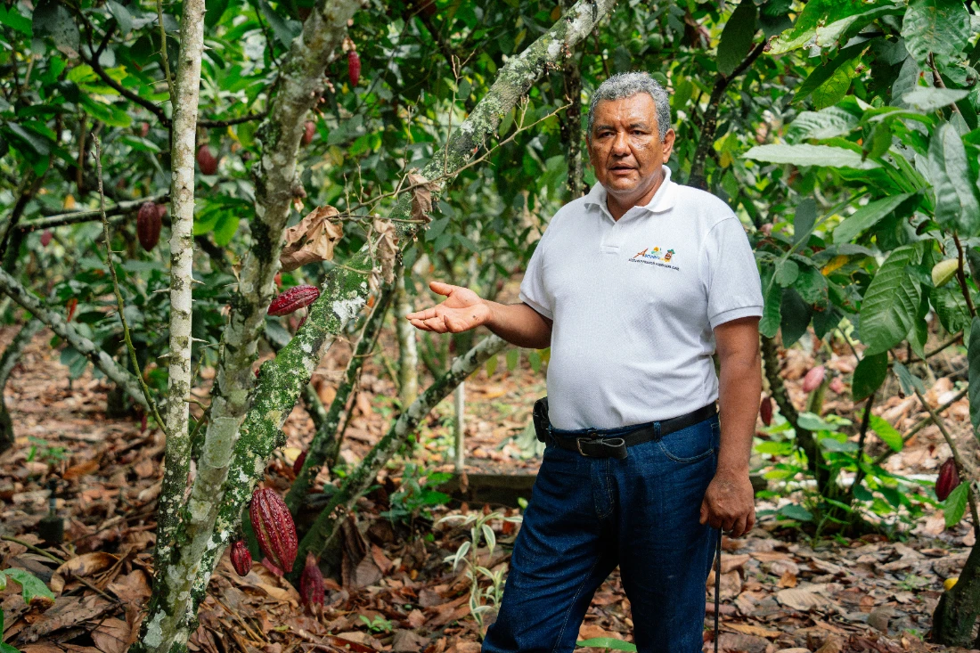 familias cacaoteras empresarios