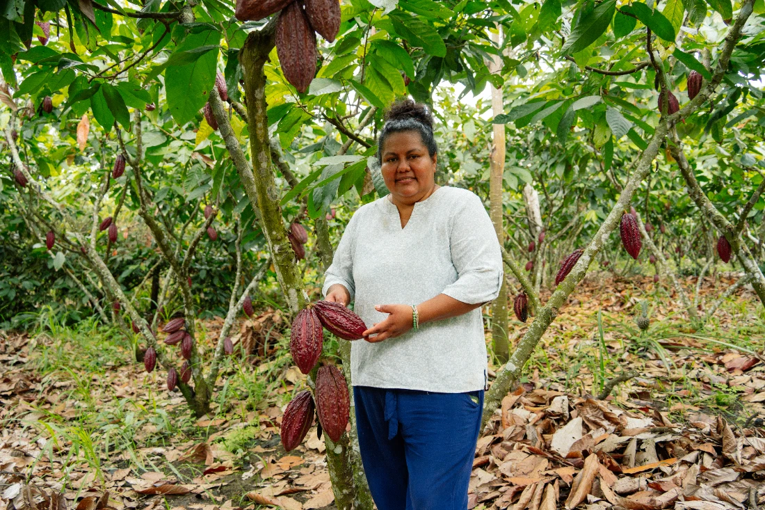 familias cacaoteras empresarios