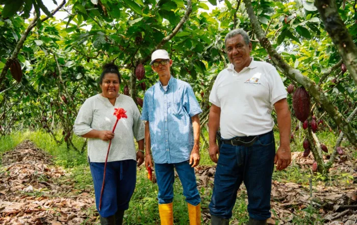 familias cacaoteras empresarios