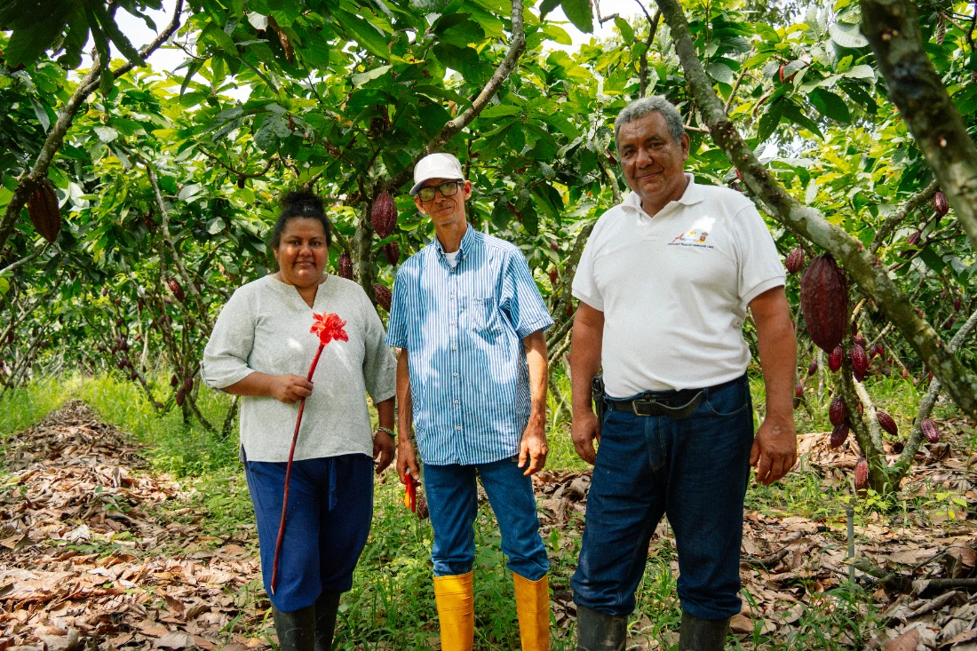 familias cacaoteras empresarios