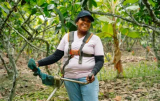 cacaoteros aprenden a cuidar