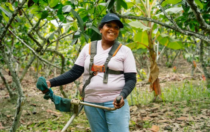 cacaoteros aprenden a cuidar