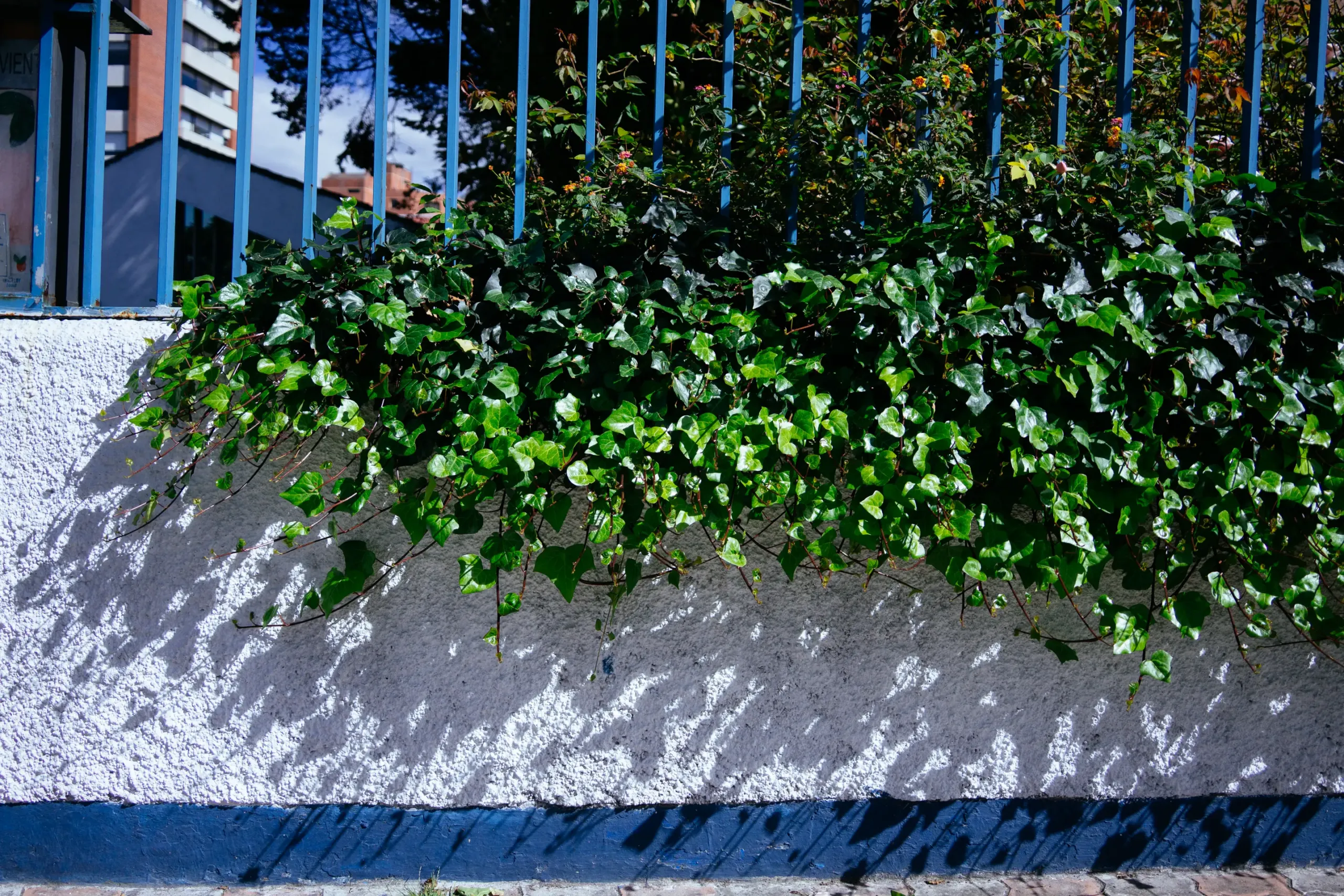 Enamoradas del muro de una iglesia