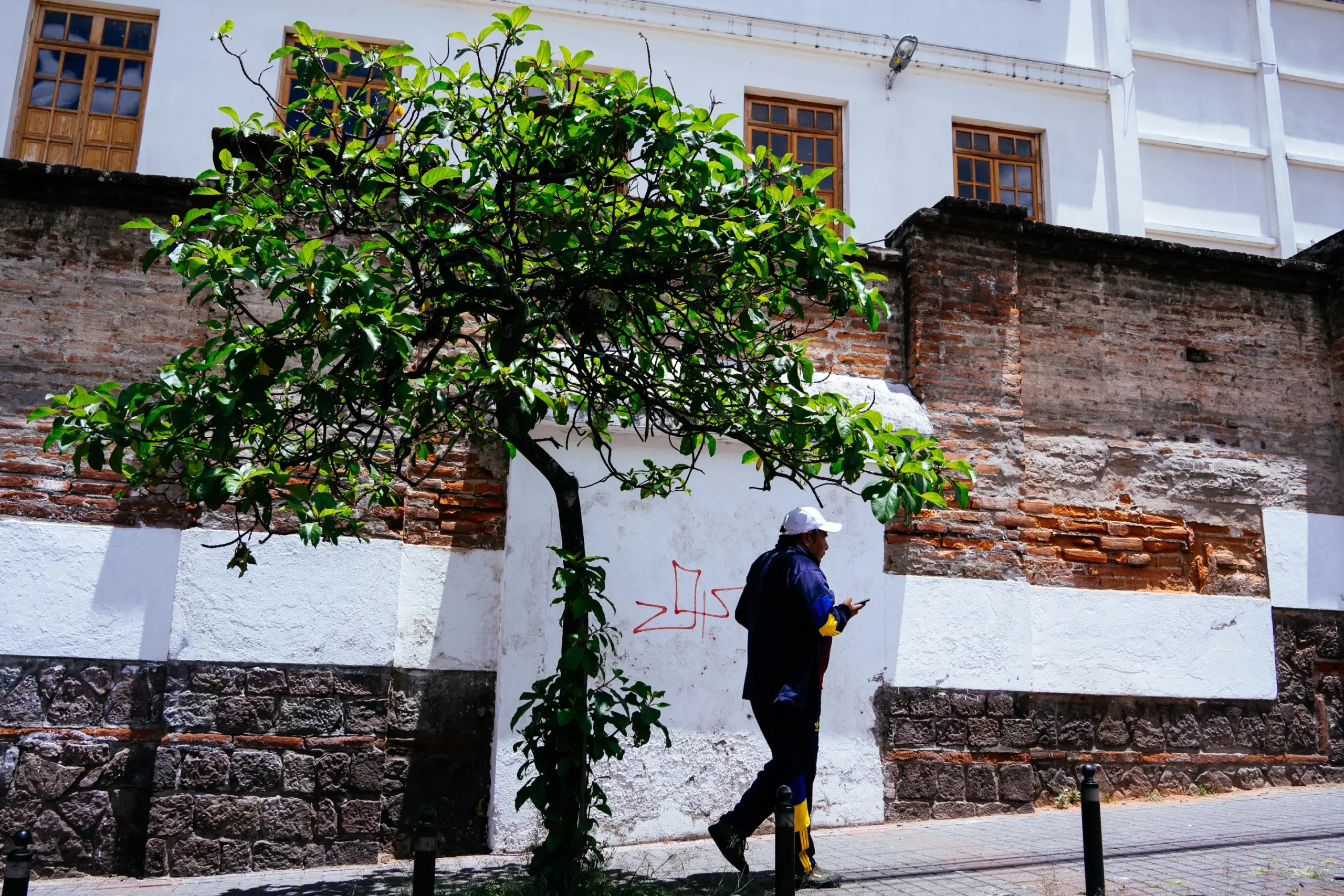 Los muros revelan historia