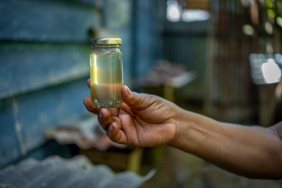 En las comunidades bora, la miel es utilizada para tratar la tos, los resfríos, dolores reumáticos y otras enfermedades comunes. Fotografía de Conservación Internacional Perú.