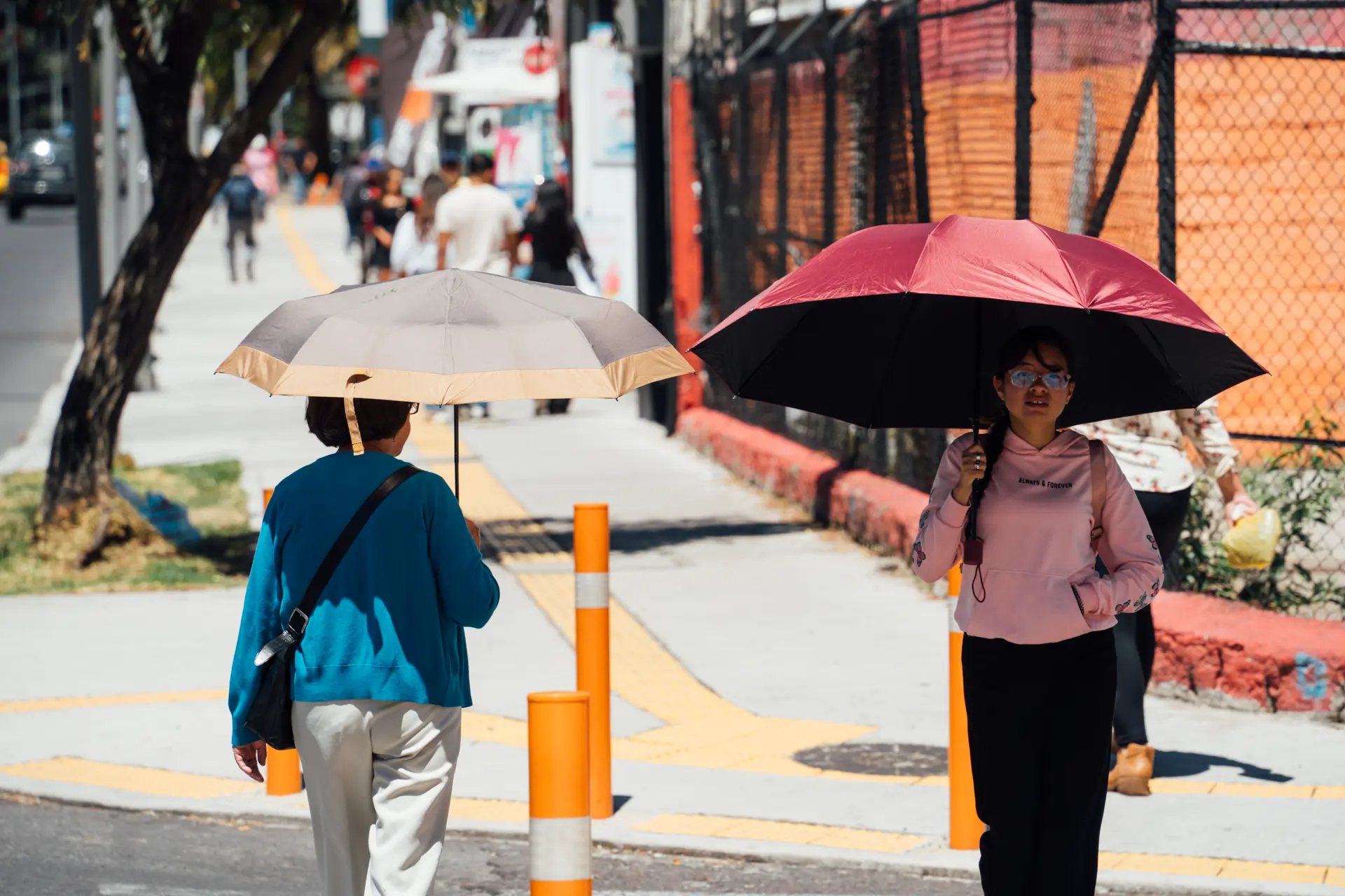 El solazo reverbera en la vereda El solazo reverbera en la vereda