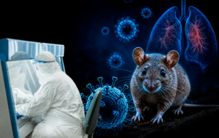 hantavirus