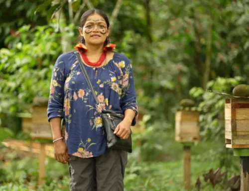 Día Mundial de las Abejas: mujeres indígenas que protegen polinizadores en Latinoamérica