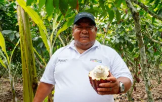 Nuevas técnicas ganar más cacao