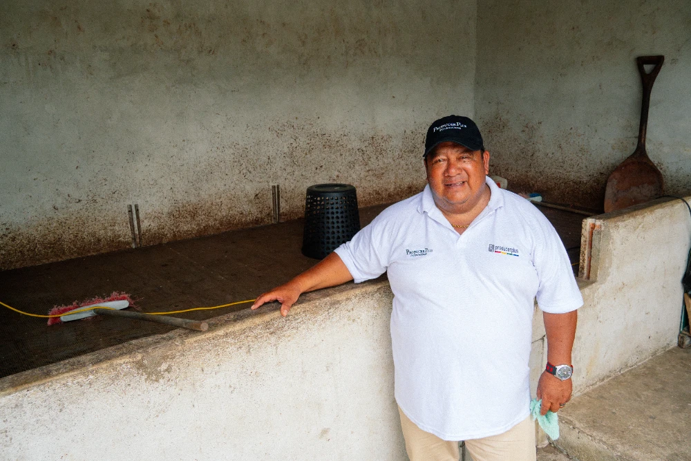 Nuevas t&eacute;cnicas ganar m&aacute;s cacao