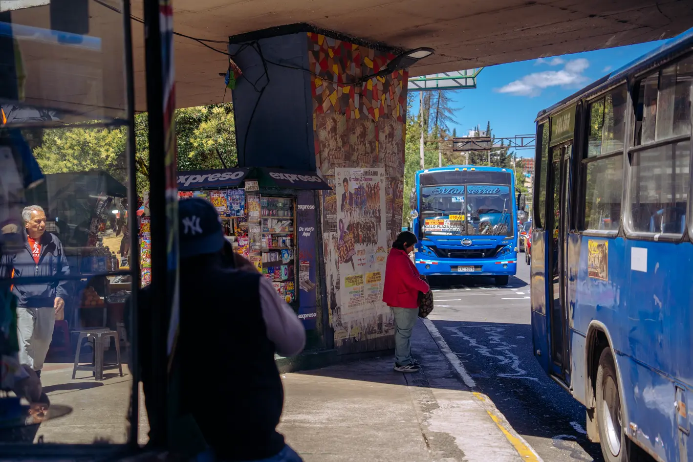 PASOS DEPRIMIDOS Y ELEVADOS 16