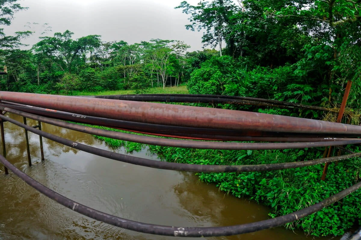 Un tramo del oleoducto en la Amazonía ecuatoriana. Foto: Estuardo Vera