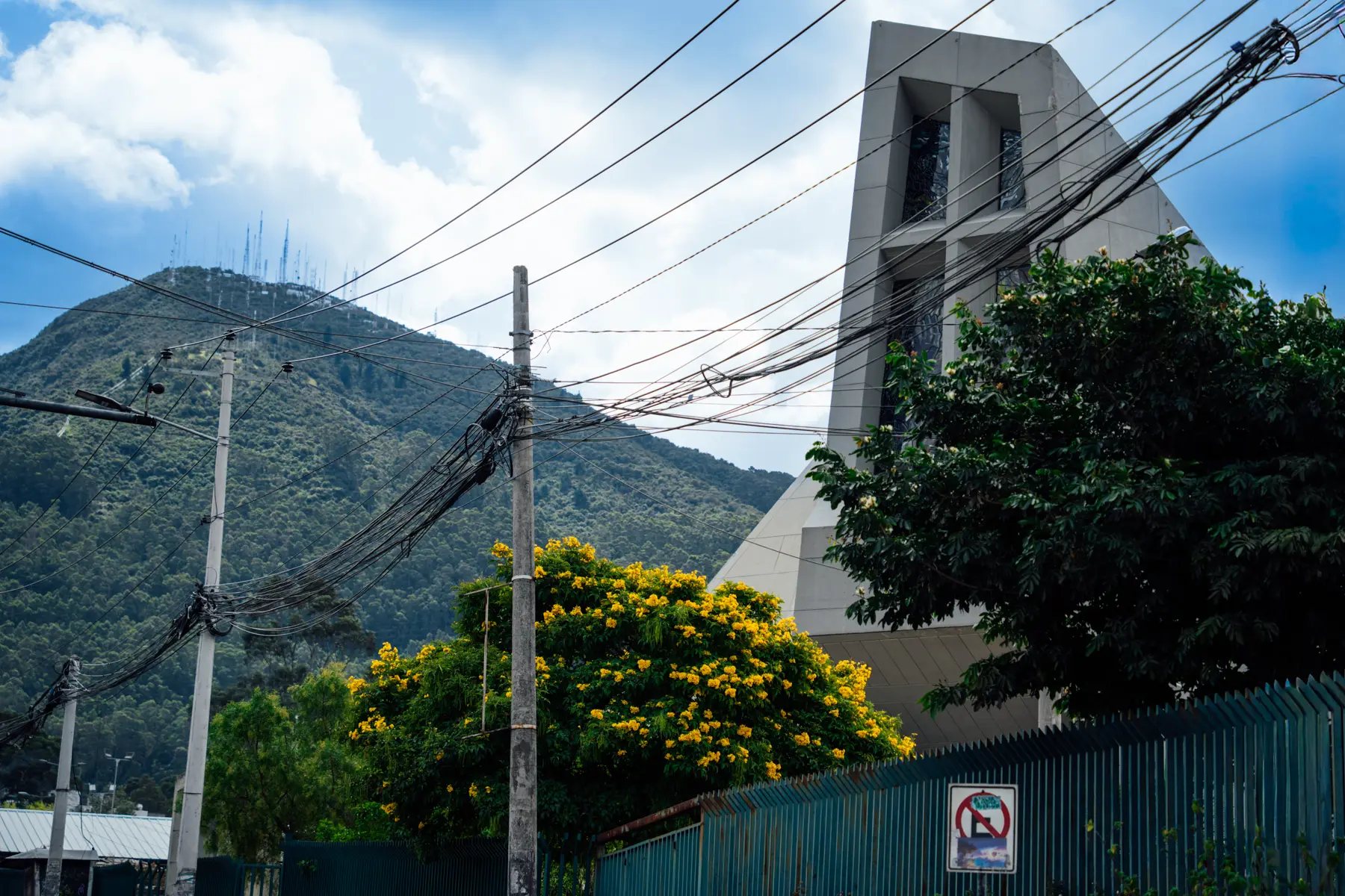 Al pie del Pichincha y del colegio San Gabriel, florece