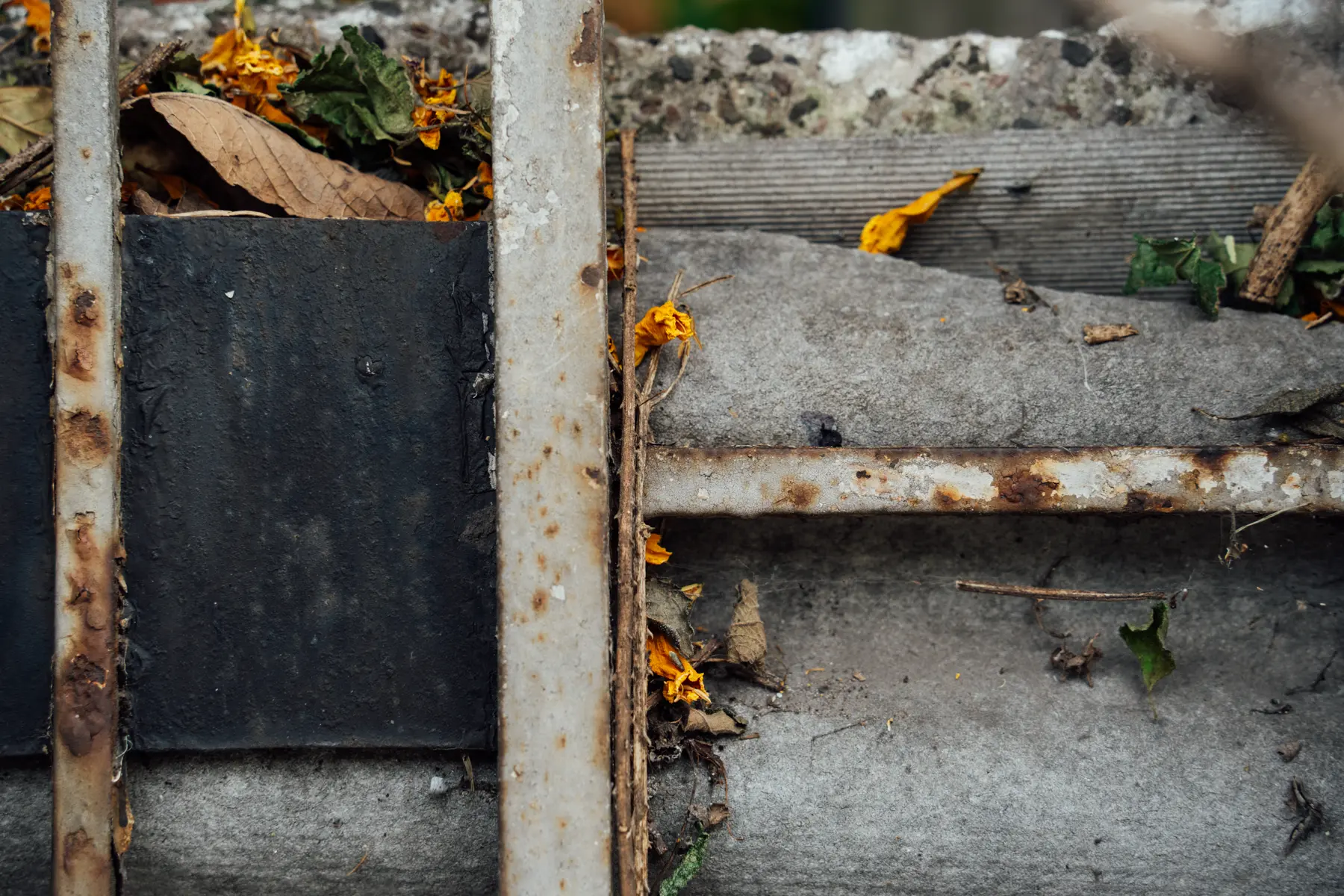 Florecitas amarillas en el piso