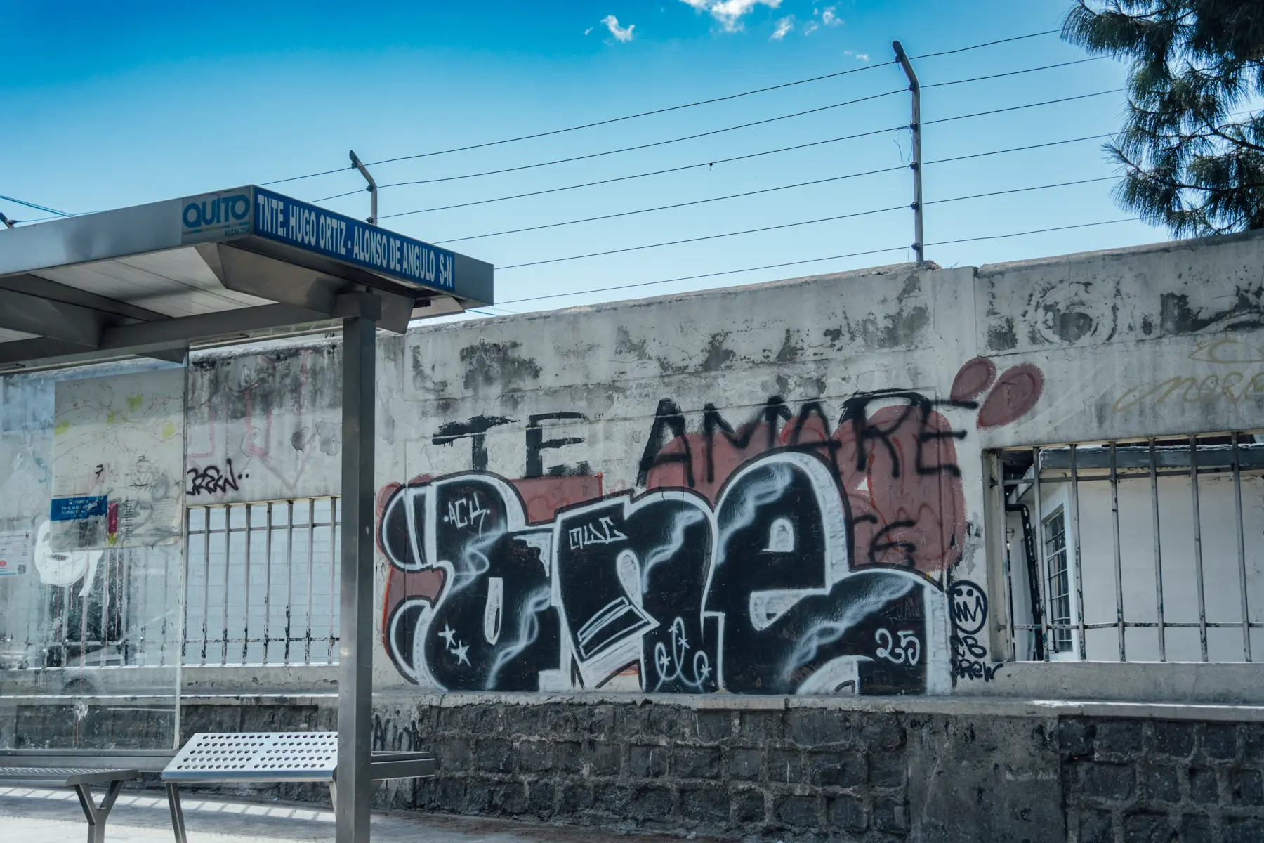 Te amaré Te amaré