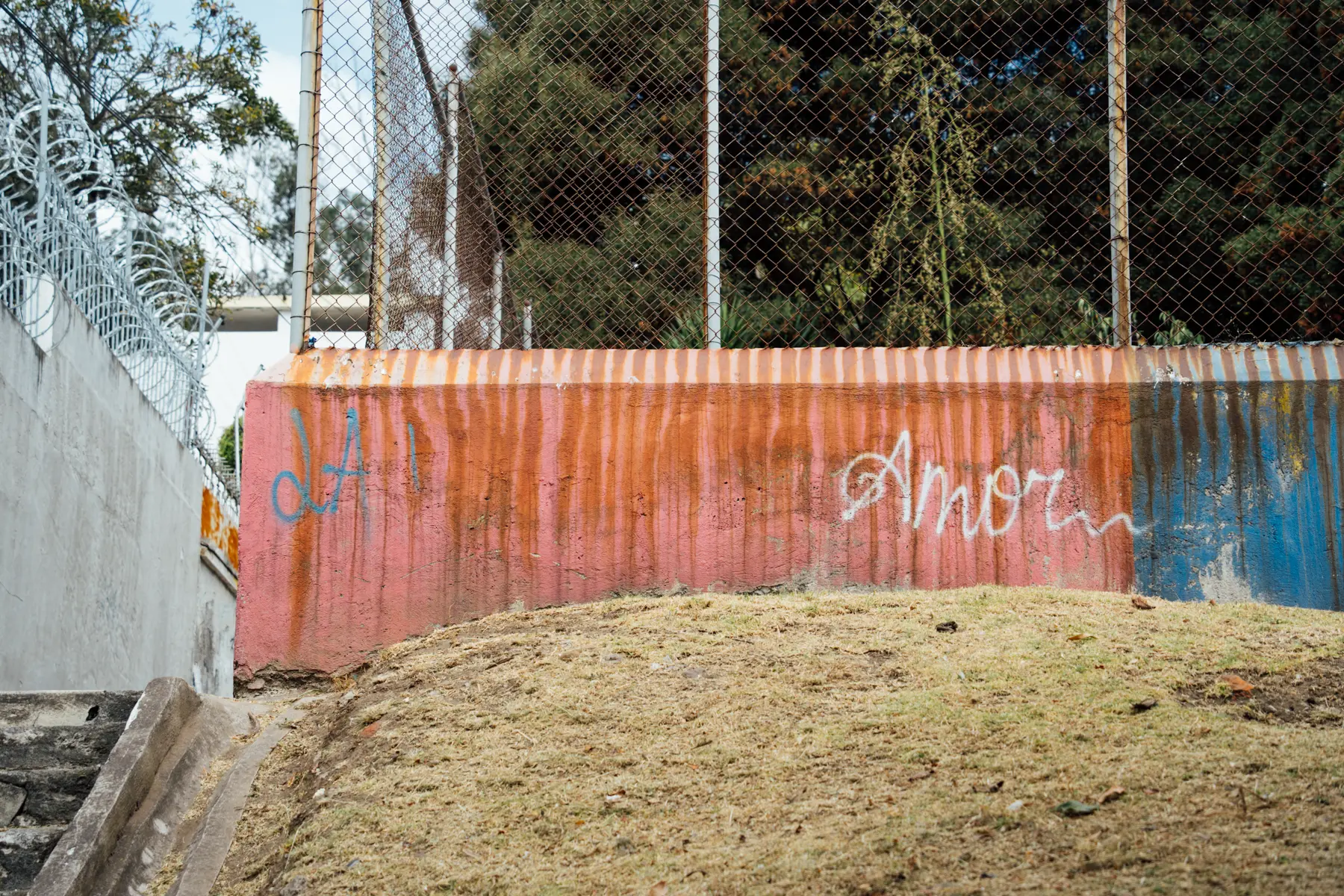 Amor, estás suelto en Quito Amor, estás suelto en Quito