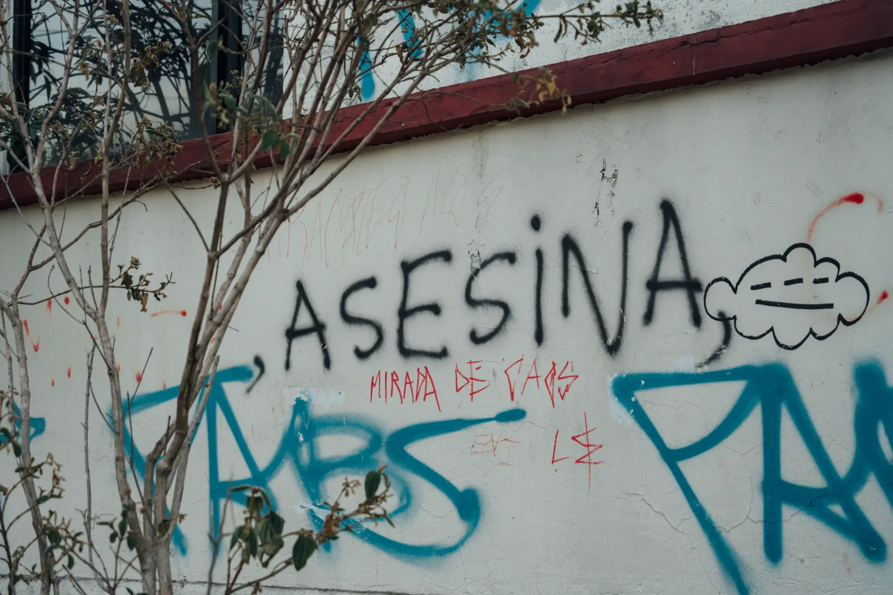Asesina Asesina