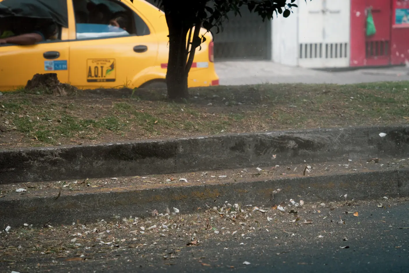 VIENTO-14 VIENTO 14