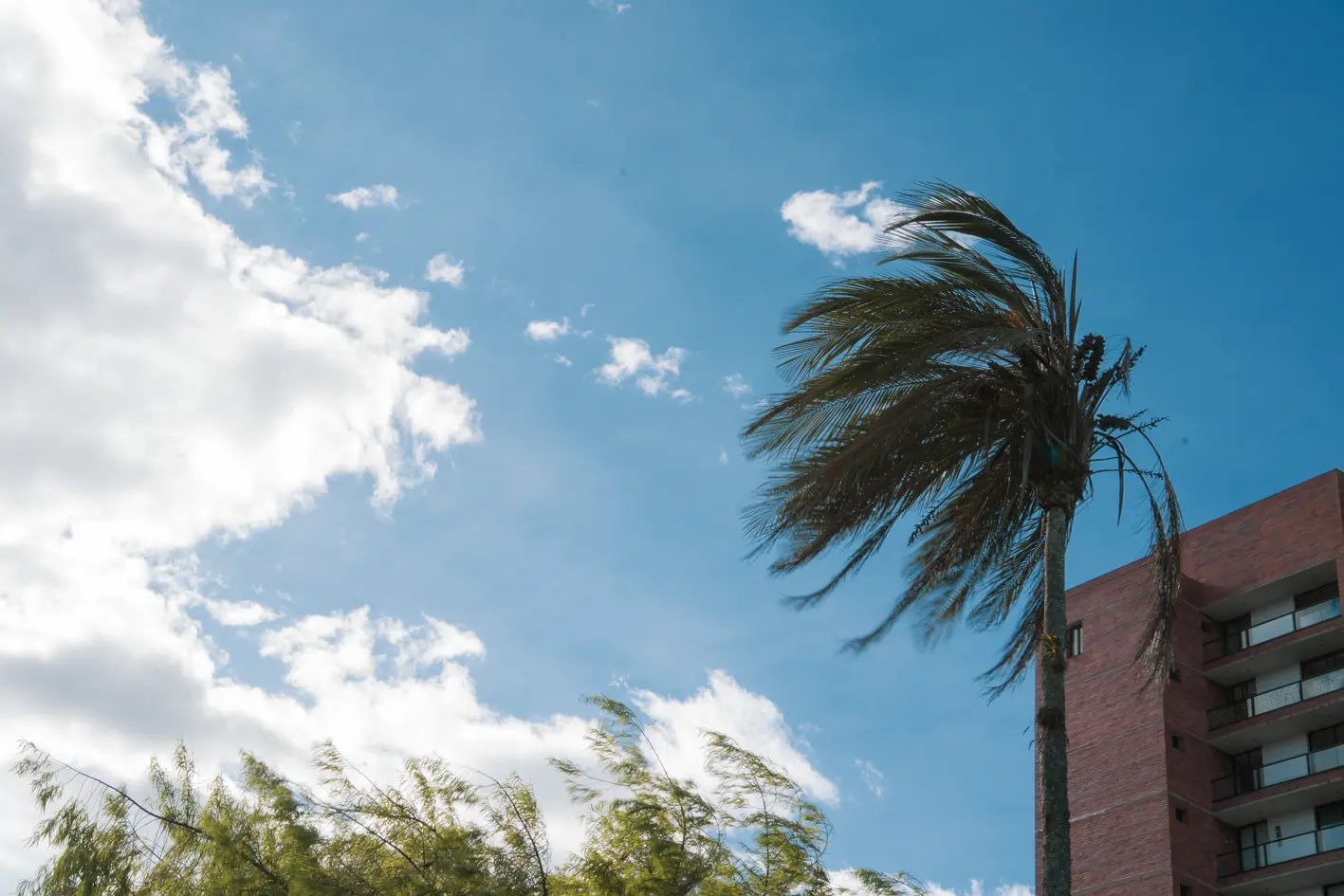 VIENTO-9 VIENTO 9