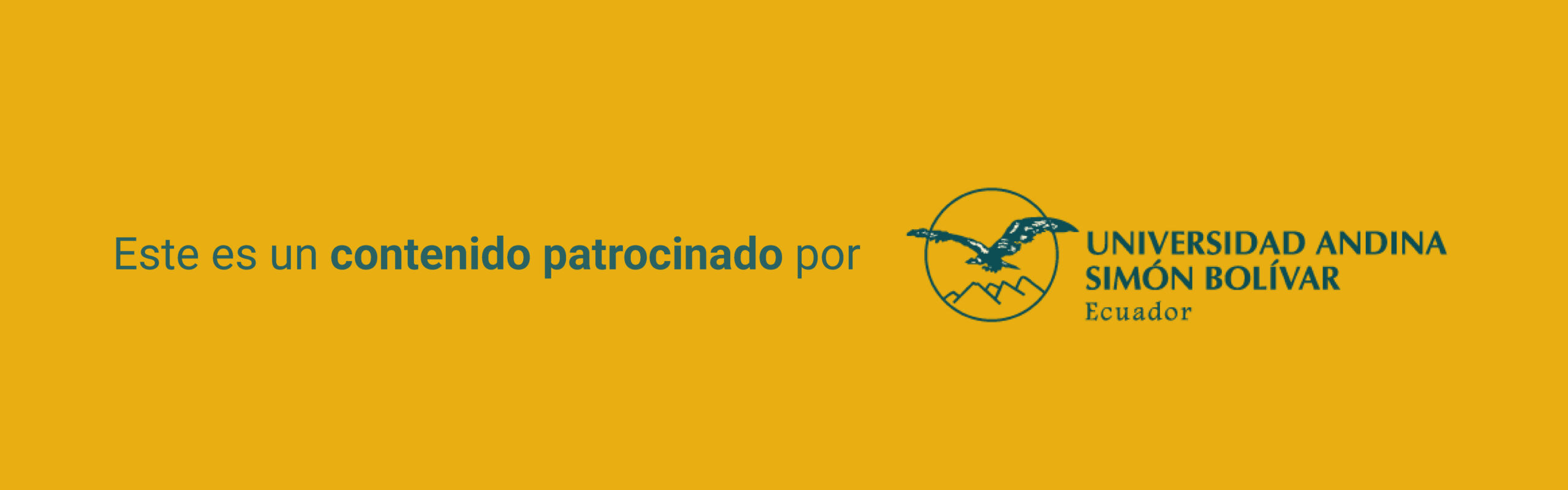 Banner Andina Scaled