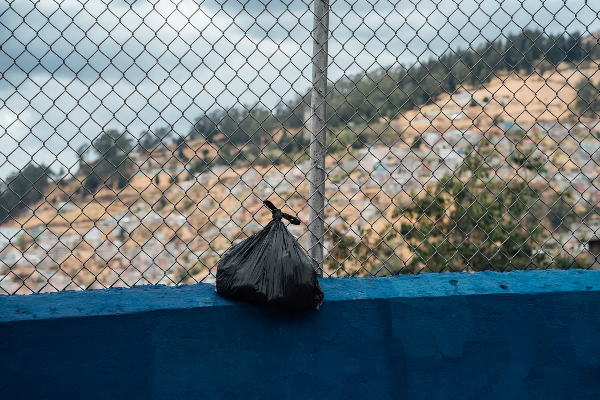 A veces vuelan solitarias