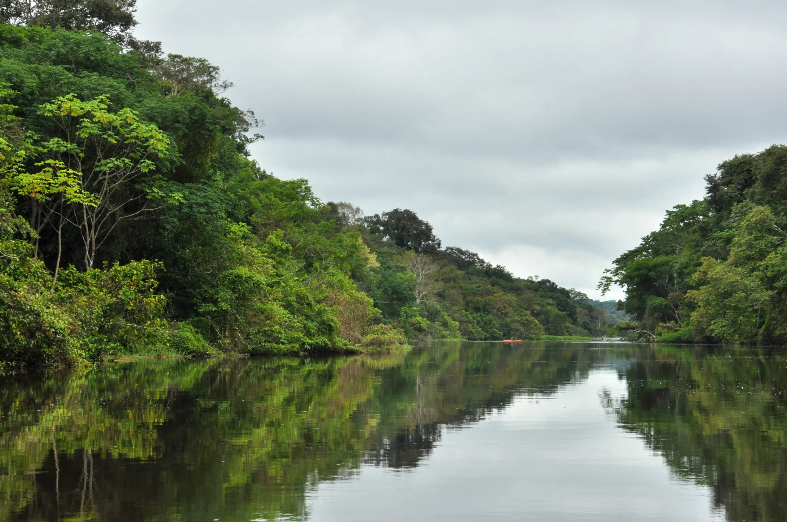 Los lagos de Tarapoto, en la Amazonía Colombiana, son uno de los lugares mejor preservados de esta región. Bosques como este son fundamentales para la seguridad hídrica en países andinos como Ecuador y Colombia. Fotografía de Esteban Tavera.